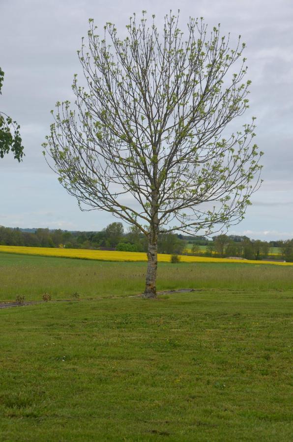 Le Murmure Des Fees Issigeac Exterior photo